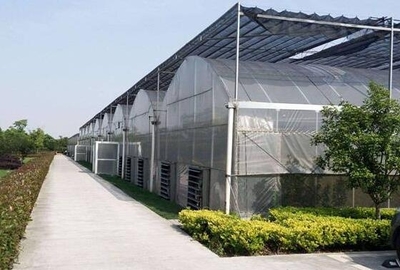 綠色保障，信譽見證 安慶市陽光板連棟溫室大棚庫存充足之優勢解析